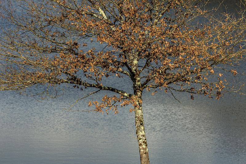 2018_03_24_lac de panneciere (0005).jpg - Lac de Pannecière (mars 2018)